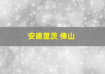 安德里茨 佛山